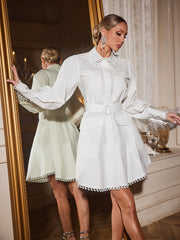 Ainslie Folded Collar Shirt Mini Dress