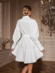 Ainslie Folded Collar Shirt Mini Dress