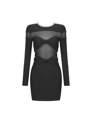 Arley Long Sleeve Crystal Mini Dress