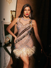 Aryviel Embellished Feather Mini Dress