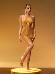 Misael Halterneck Crystal Mesh Mini Dress In Gold