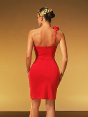 Jaldrex One Shoulder Ruched Mini Dress