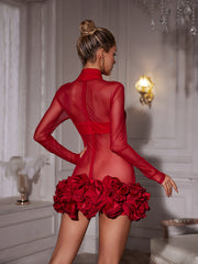 Nairi Long Sleeve Flower Mesh Mini Dress