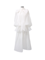 Niesha Ruffle Bow Mesh Maxi Dress