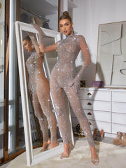 Ally Rhinestone Mesh Jumpsuit In Silver