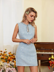 Oberon Sequin Vest Dress